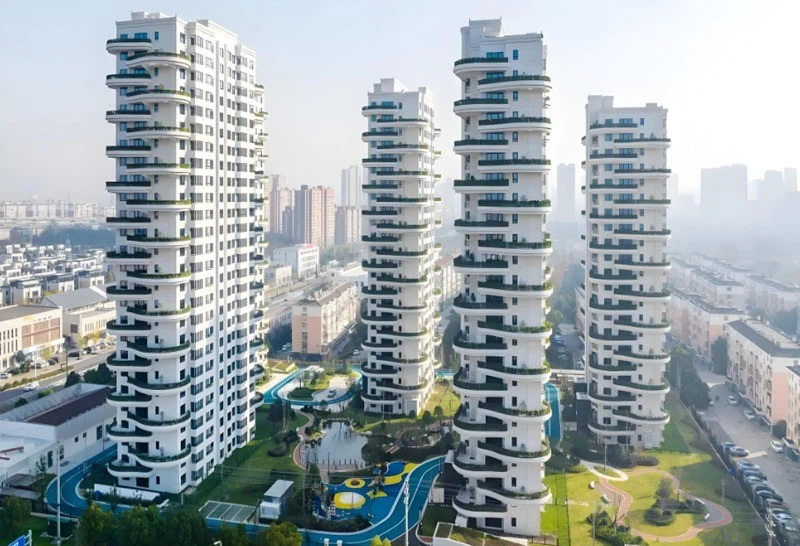 Dynamic Tests Dynamic Tests